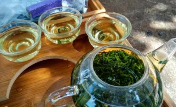 辣木茶的作用与功效与作用,辣木茶和桑叶一起喝功效作用图1