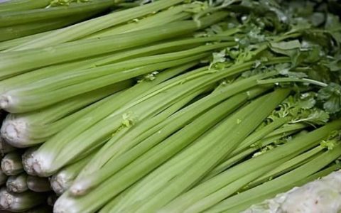 吃芹菜可以降血压吗