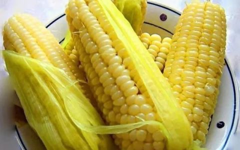 玉米怎么做吃的(玉米有什么吃法)