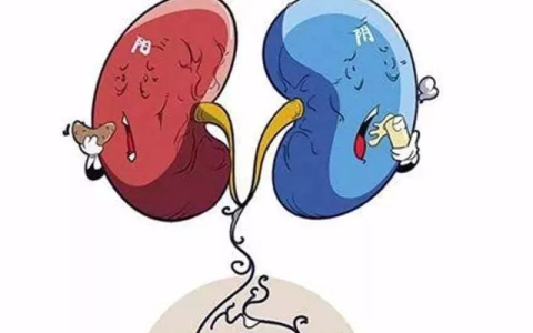 清热凉血养阴生津的生地黄,和生地黄有关的凉血药有哪些