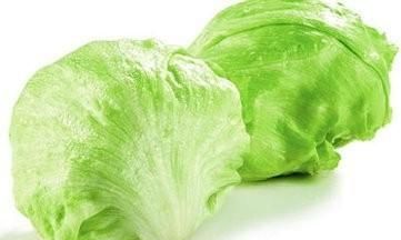 结球生菜如何种植,怎样种植结球生菜图1