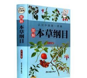 中药的意义,中药的意义是什么图2