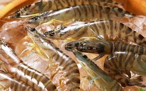 11个月大的宝宝能吃虾吗(11个月宝宝肉虾饺子馅做法大全)