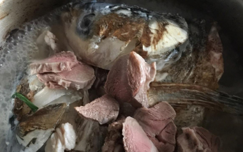 羊肉和鱼头炖有什么好处和坏处吗?