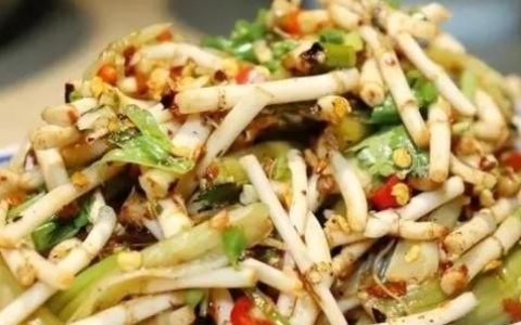 鱼腥草吃法大全,鱼腥草吃法大全家常做法