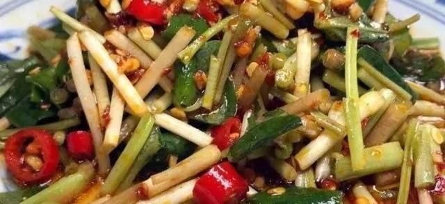 鱼腥草吃法大全,鱼腥草吃法大全家常做法图5
