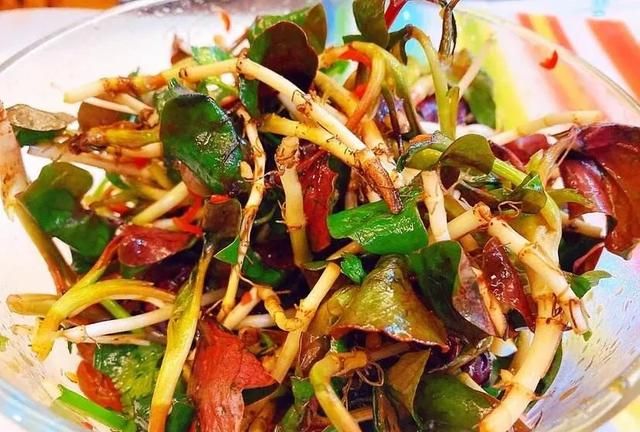 鱼腥草吃法大全,鱼腥草吃法大全家常做法图6