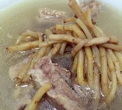 鱼腥草吃法大全,鱼腥草吃法大全家常做法图8