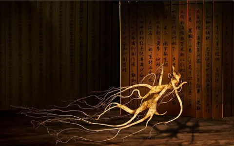 人参有祛斑功效吗,人参怎样用能美容祛斑