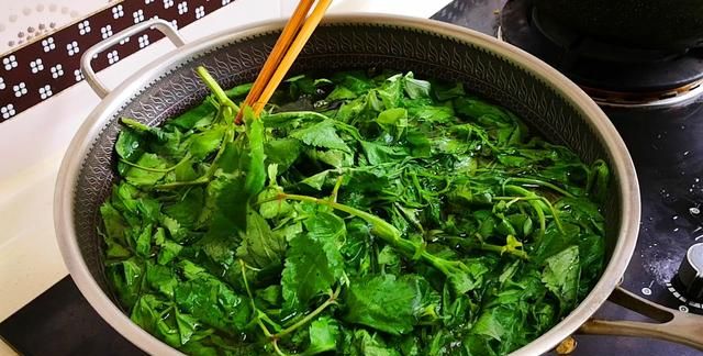 小狗叉全身都是宝，比苦菜营养，比荠菜鲜，却常被当草，凉拌最香