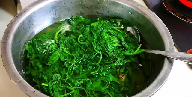 小狗叉全身都是宝，比苦菜营养，比荠菜鲜，却常被当草，凉拌最香