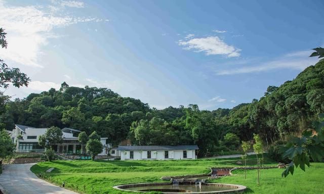 广州以香避暑就在世间香境七溪地
