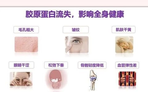 胶原蛋白的功效与作用，胶原蛋白肽的功效与作用有哪些