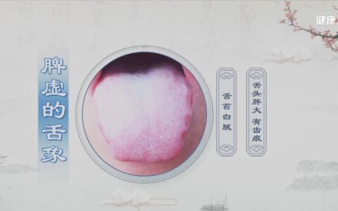 脾胃如何调理中医常说药补不如食