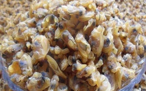 沙蚬肉煲汤有什么好处,沙蚬煮汤怎样好喝