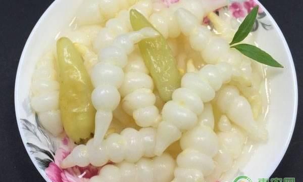 地参有什么价值和功效？如何食用？（附种植技术）