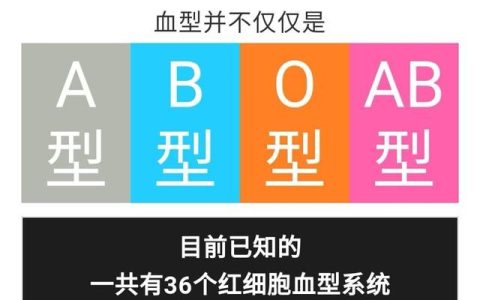 rhd血型阳性是什么意思