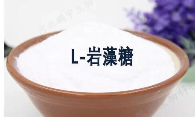 岩藻糖胶对人体有什么作用和功效图2