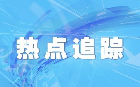 t细胞活化后的代谢途径,激活t细胞的营养