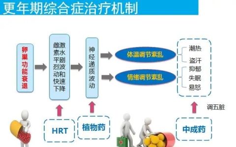 更年期综合征十大联合用药