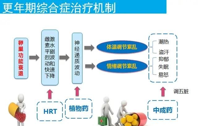 更年期综合征老是烦，专家详细讲解10大联合用药方案，帮你摆脱它