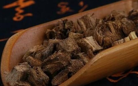 葛根功效，柴葛根与粉葛根的功效区别