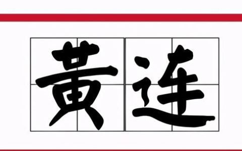 黄连有什么药用价值?,黄连味苦但它具体有什么药用价值