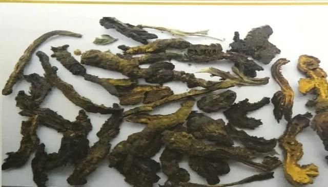 苦到让人说不出话的黄连，来看看它的药用价值！