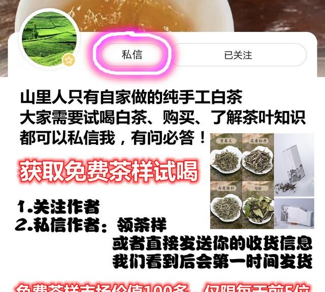 老枞白茶的特点与功效