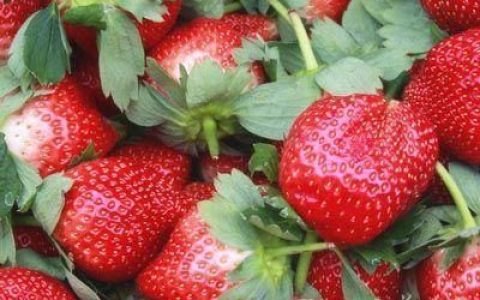 感冒了吃什么食物比较好缓解感冒
