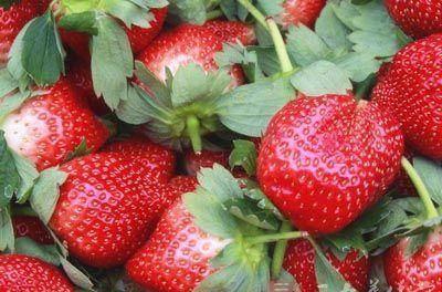 感冒了吃什么好的快 这些食物能帮助治感冒