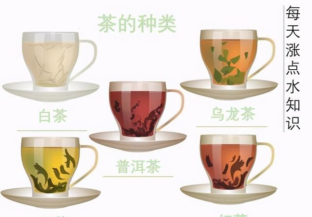 泡茶你泡对了吗？泡茶的正确方式了解了，更健康