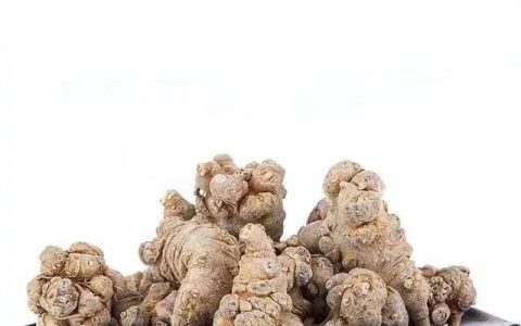 女性吃三七粉的好处和坏处,女性常吃三七粉对身体有什么好处