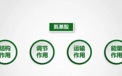 蛋白质的作用你要知道
