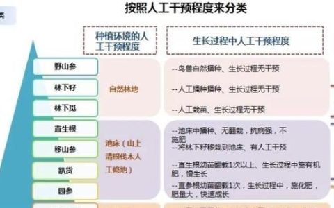 人参气锅鸡，人参有锈没事吧
