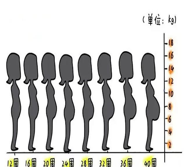 孕妇小常识，孕妇肚子太小,是胎儿小吗怎么办图1