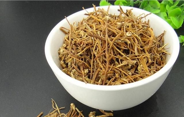 植物龙胆有什么作用和功效图片图3
