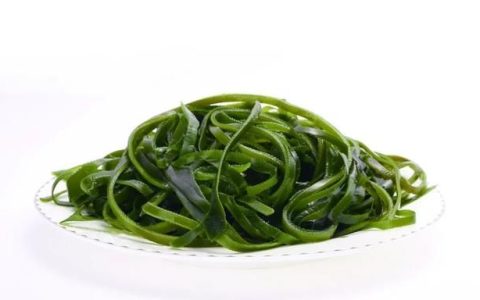 海洋中的这种蔬菜营养也不少,营养丰富的海洋食物有哪些